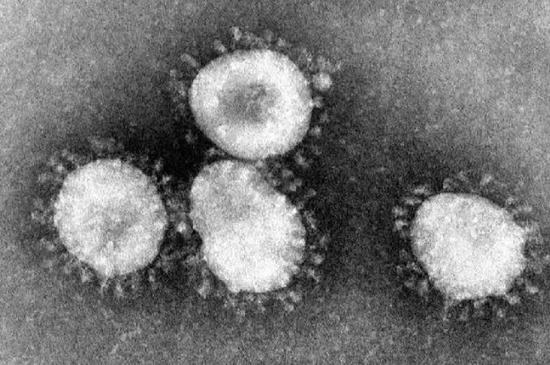  新型冠状病毒，图片来自：TimesDirect.TV