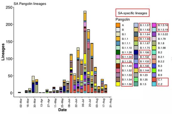 红框中为南非发现的新变异体。图片来源论文。
