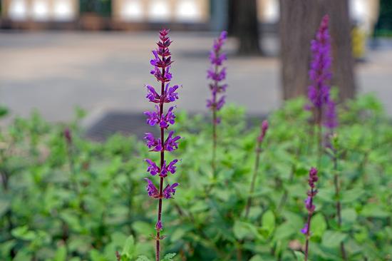 ͷ: XC15-45mmF3.5-5.6 OIS PZ