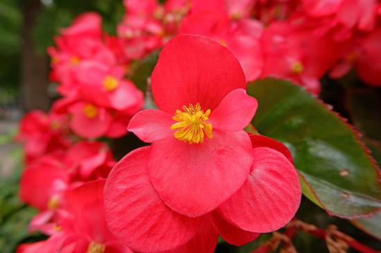 ͷ: XC15-45mmF3.5-5.6 OIS PZ