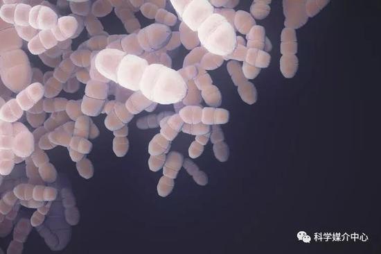 想要探索外太空?请先解决这八个伦理问题 我们想要什么,微生物的权利