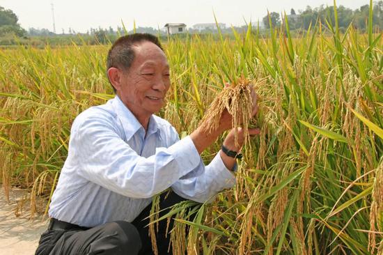袁隆平不能躺在功劳簿上睡大觉要创造更多研究成果