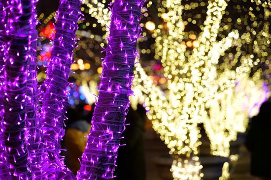 焦距:105mm　 光圈:f/4.0　 ISO感光度:2500