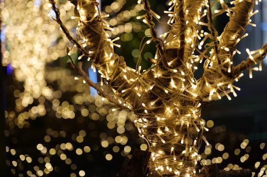 焦距:105mm　 光圈:f/4.0　 ISO感光度:1600