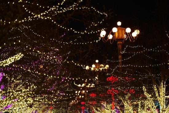 焦距:105mm　 光圈:f/4.0　 ISO感光度:1600