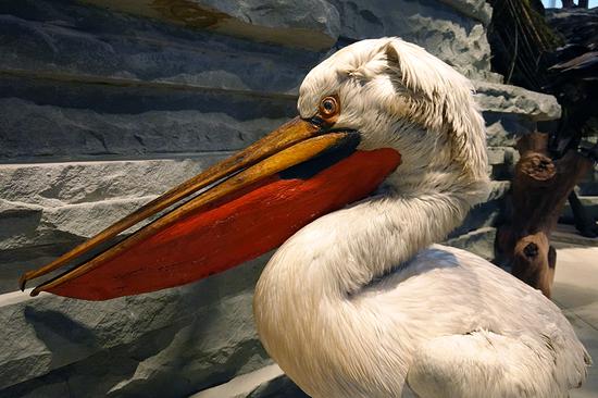 愈加完善的口袋相机 索尼黑卡RX0 II评测(6)