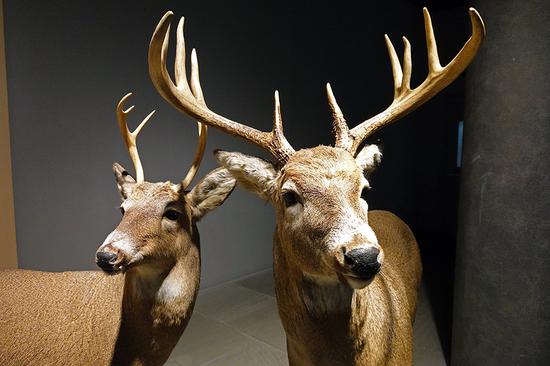 愈加完善的口袋相机 索尼黑卡RX0 II评测(6)