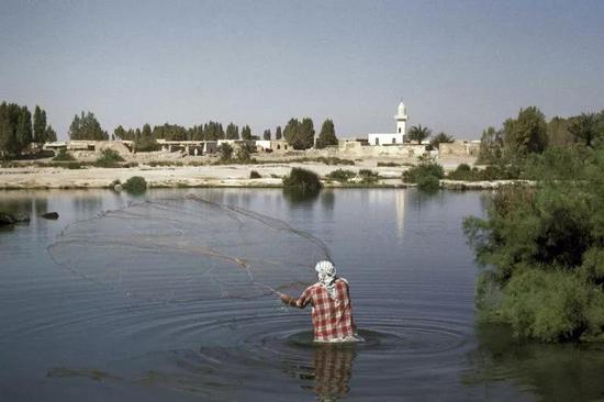 20世纪60年代，一名男子在约旦阿兹拉克绿洲的Shishan池捕鱼。图片来源：David Hosking/FLPA