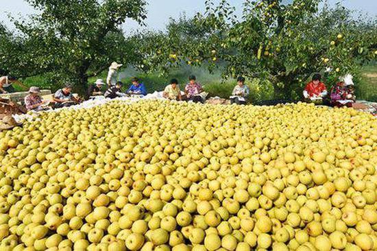 为什么我买的助农商品是坑货？