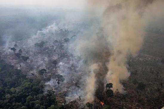 去年8月，巴西亚马孙雨林的野火数量高于2010年干旱以来的任何一个8月。来源：Victor Moriyama/Getty