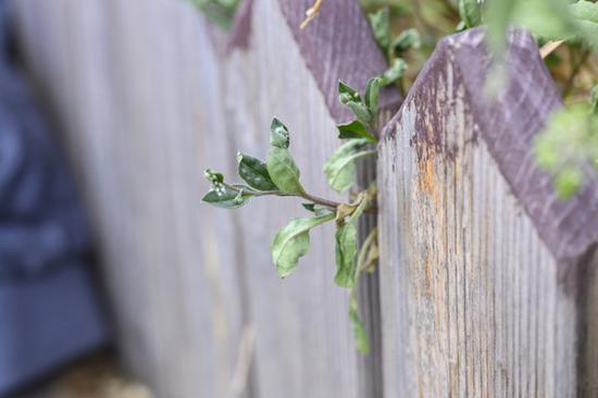 尼康Z 50拍摄 光圈F4