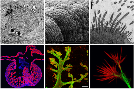 带你解锁高阶版“工具人”使用手册