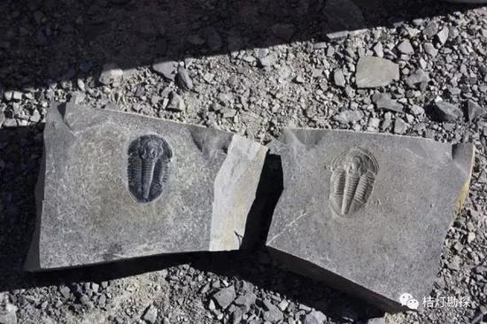 新浪科技综合：史上最经典的10张地质现象新浪科技综合2020-08-05 16:23:270阅