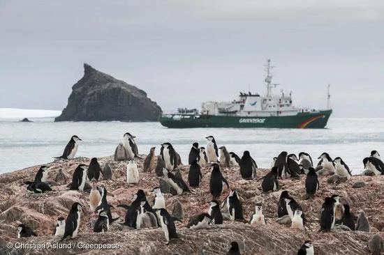 2020年1月17日，绿色和平“希望”号在南极象岛展开科学考察。© Christian Aslund / Greenpeace