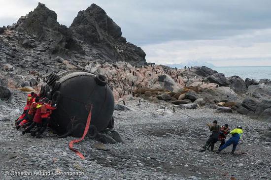 沙克尔顿的历险没有留下更多痕迹，但我们在象岛却发现并清除了一个被渔船或转运船废弃的横滨式护舷（Yokohama fender，一种充气橡胶防碰垫）。© Christian Aslund / Greenpeace