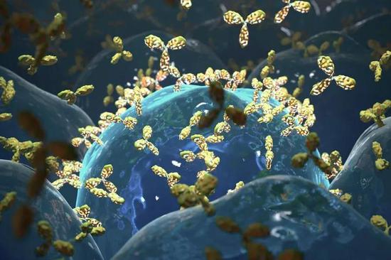 利用单克隆抗体（艺术再现图）对抗新冠病毒。来源：Nanoclustering/Science Photo Library