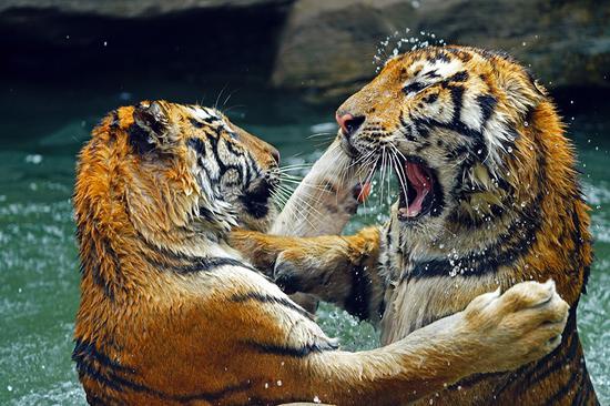 新浪科技综合：东芝存储的延续 铠侠EXCERIA PRO SD卡评测新浪科技综合2020-09-01 06:53:040阅