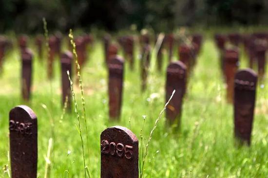 　从米利奇维尔医院坟墓中转移而来的铁制标记。来源：Jaime Henry-White / AP / Shutterstock。