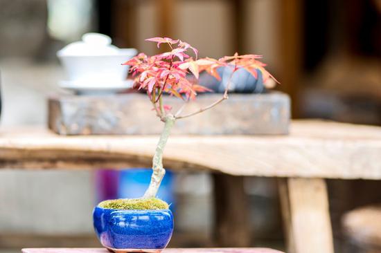 新浪科技综合|四胞胎老大出世 松下LUMIX S 85mm F1.8评测