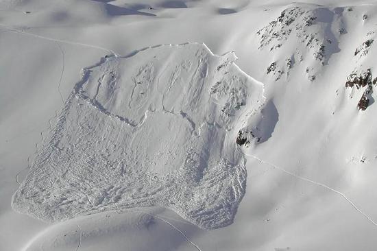 雪崩痕迹举例，来自瑞士格里亚莱奇地区丨SLF