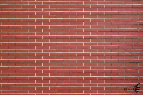 新浪科技综合|最大1.4倍放大倍率 佳能RF100mm F2.8 L MACRO IS USM评测