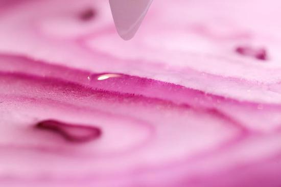 新浪科技综合|最大1.4倍放大倍率 佳能RF100mm F2.8 L MACRO IS USM评测