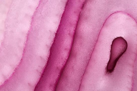 新浪科技综合|最大1.4倍放大倍率 佳能RF100mm F2.8 L MACRO IS USM评测