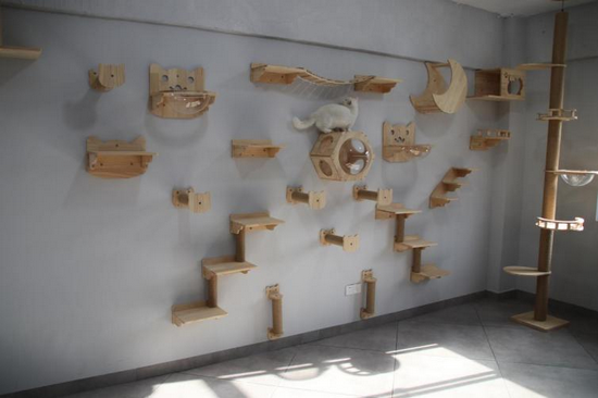 双十一众生相:豪气淡了,埋头经营本身