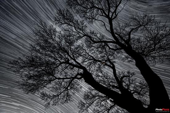星轨拍摄:如何科学地拍摄星轨照片