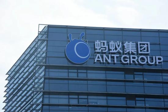 疯长的 小蚂蚁们 蚂蚁集团 金融科技 新浪科技 新浪网 疯长的 小蚂蚁们 蚂蚁集团 金融科技 新浪科技 新浪网