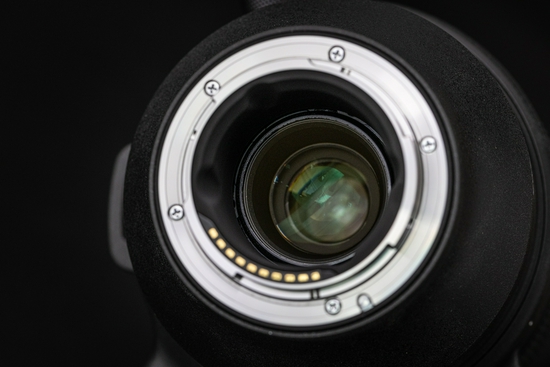 新浪科技综合|生态摄影新浪潮 适马150-600mm F5-6.3 DG DN OS镜头评测