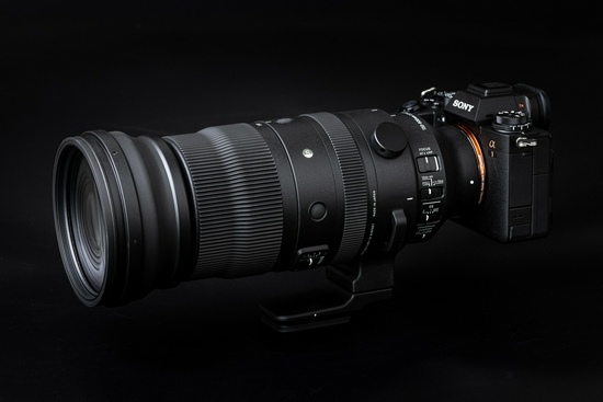 新浪科技综合|生态摄影新浪潮 适马150-600mm F5-6.3 DG DN OS镜头评测