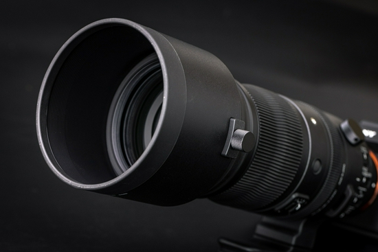 新浪科技综合|生态摄影新浪潮 适马150-600mm F5-6.3 DG DN OS镜头评测