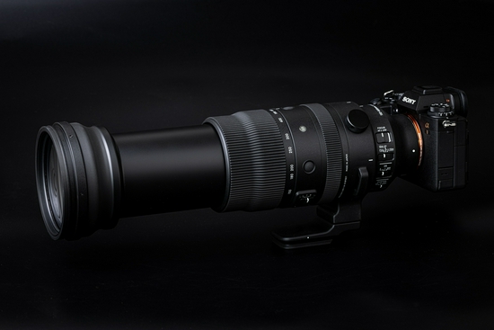 新浪科技综合|生态摄影新浪潮 适马150-600mm F5-6.3 DG DN OS镜头评测