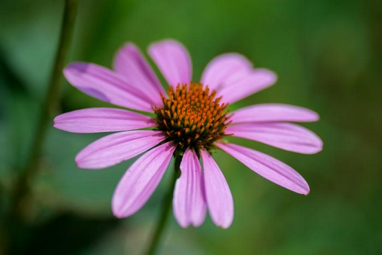 新浪科技综合|全球首支恒定f/1.7中长变焦头 松下25-50mm f/1.7 ASPH评测