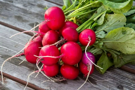 小玉米小番茄小胡萝卜……迷你蔬菜是怎么来的?