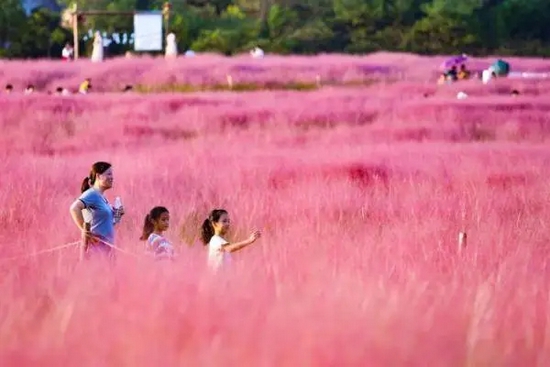 疫情中，科技为我们做了什么？