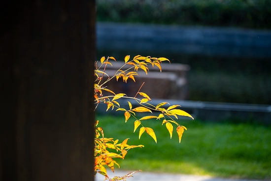 焦距:120mm ISO:125 光圈:F4 快门:1/250s