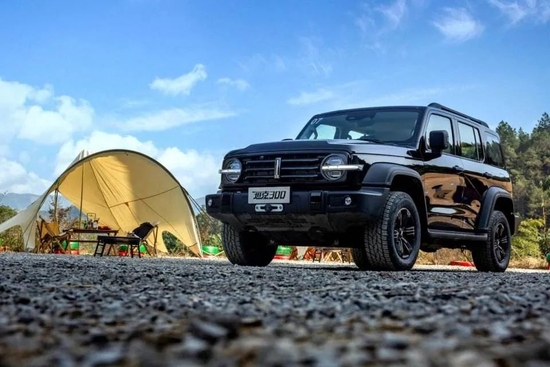 2022年了，他们买燃油还是电动？