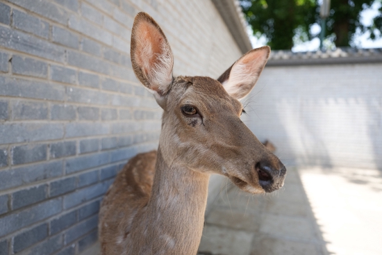 焦距：24mm　 光圈：f/2.8　 ISO感光度：100　 曝光时间：1/400s　 曝光补偿：0EV　 白平衡：自动