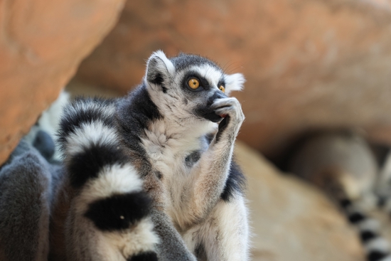 焦距：70mm　 光圈：f/2.8　 ISO感光度：100　 曝光时间：1/100s　 曝光补偿：0EV　 白平衡：自动