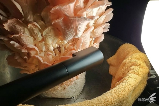 突破你的拍摄想象力老蛙ff24mmt142x转角探针镜头评测