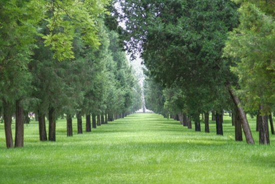 新浪科技综合|大光圈的诱惑 七工匠50mm/0.95镜头试用