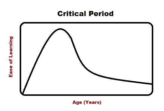 语言习得的关键期假说（critical period hypothesis）：在青春期到来之前是学会语言的黄金时期，之后学习的难度增加。图片来源：wikimedia
