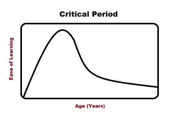 语言习得的关键期假说(critical period hypothesis):在青春期到来之前是学会语言的黄金时期,之后学习的难度增加。图片来源:wikimedia