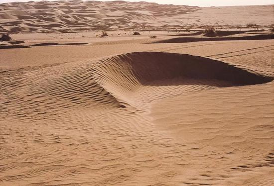 图3 单一新月形沙丘