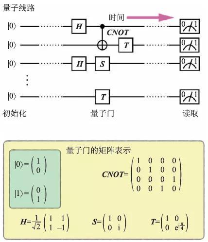 图1 量子线路和量子门。量子线路由量子比特的初始化、一组量子门以及最终的信息读取组成。其中的量子门可以由矩阵表示