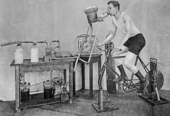 【新浪科技综合】卡路里的身世变迁新浪科技综合2020-08-11 16:21:450阅