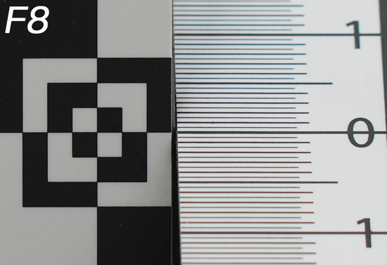 新浪科技综合|生态摄影新浪潮 适马150-600mm F5-6.3 DG DN OS镜头评测