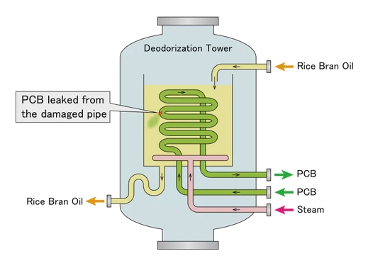 当时日本食用油工厂采用的脱臭设备。米糠油（淡绿色）被管道中的多氯联苯（深绿色）加热。图片来源：wikipedia